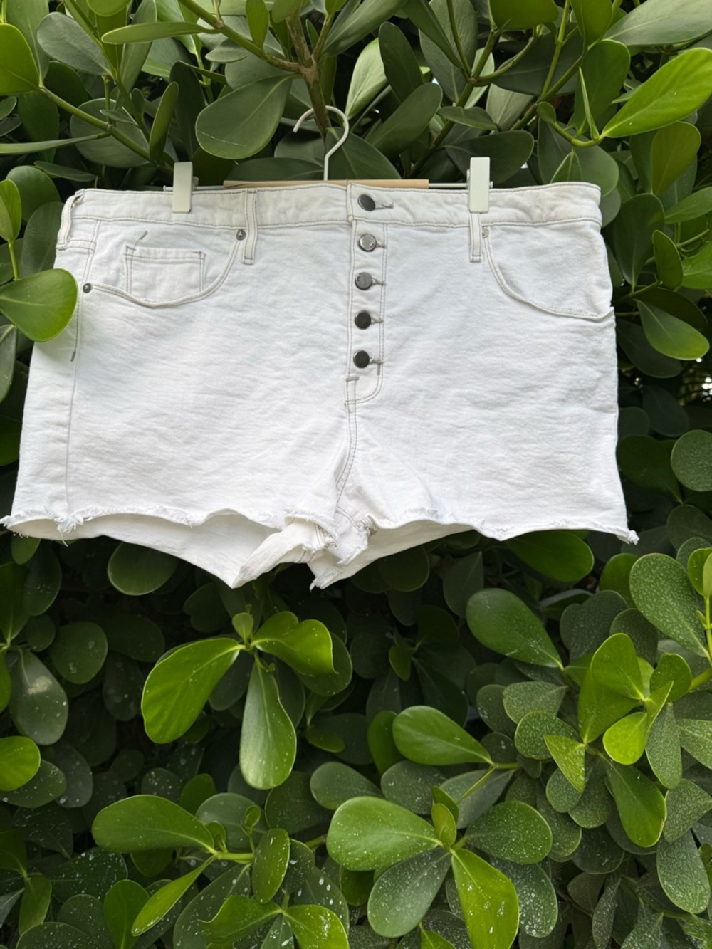 White Button-Front High-Rise Women’s Denim Shorts
